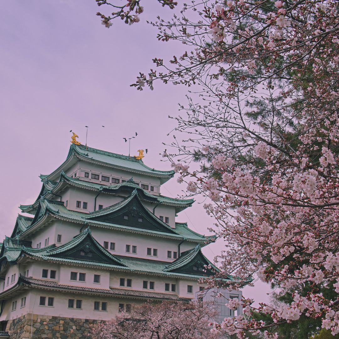 Nagoya castle picture